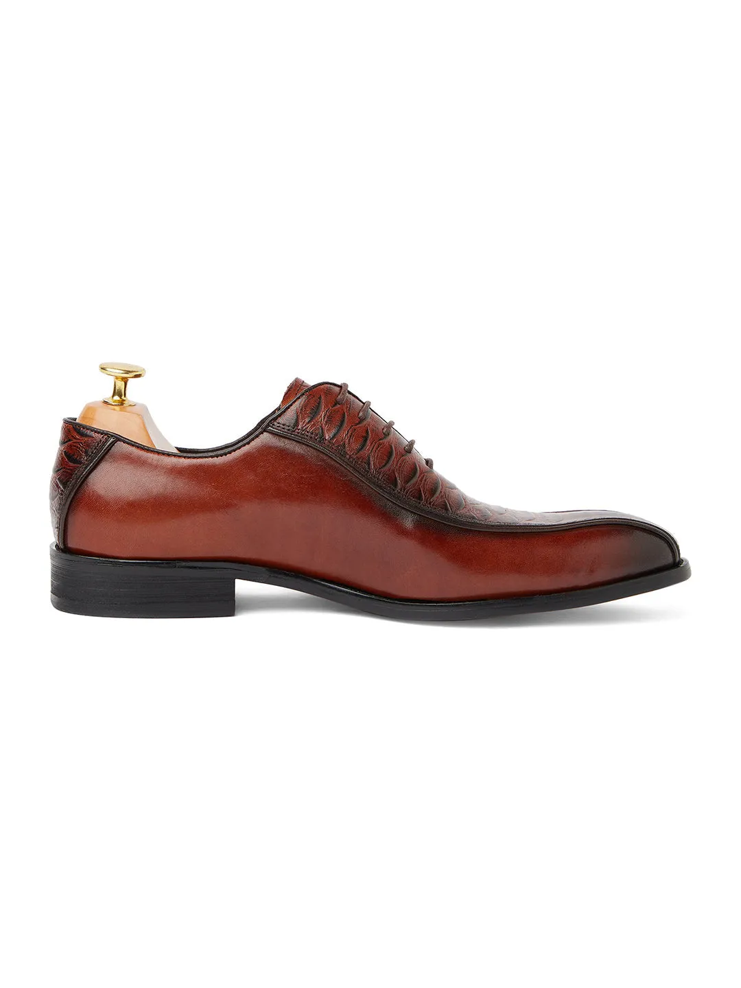 Alligator Andre Oxford - Brown