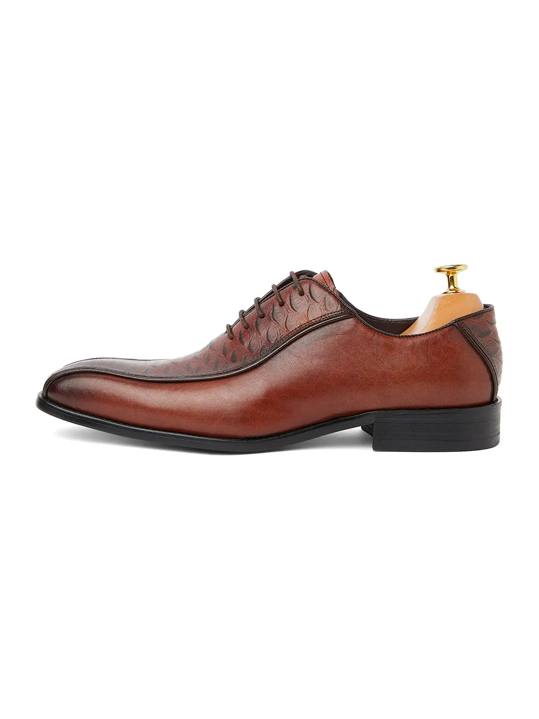 Alligator Andre Oxford - Brown