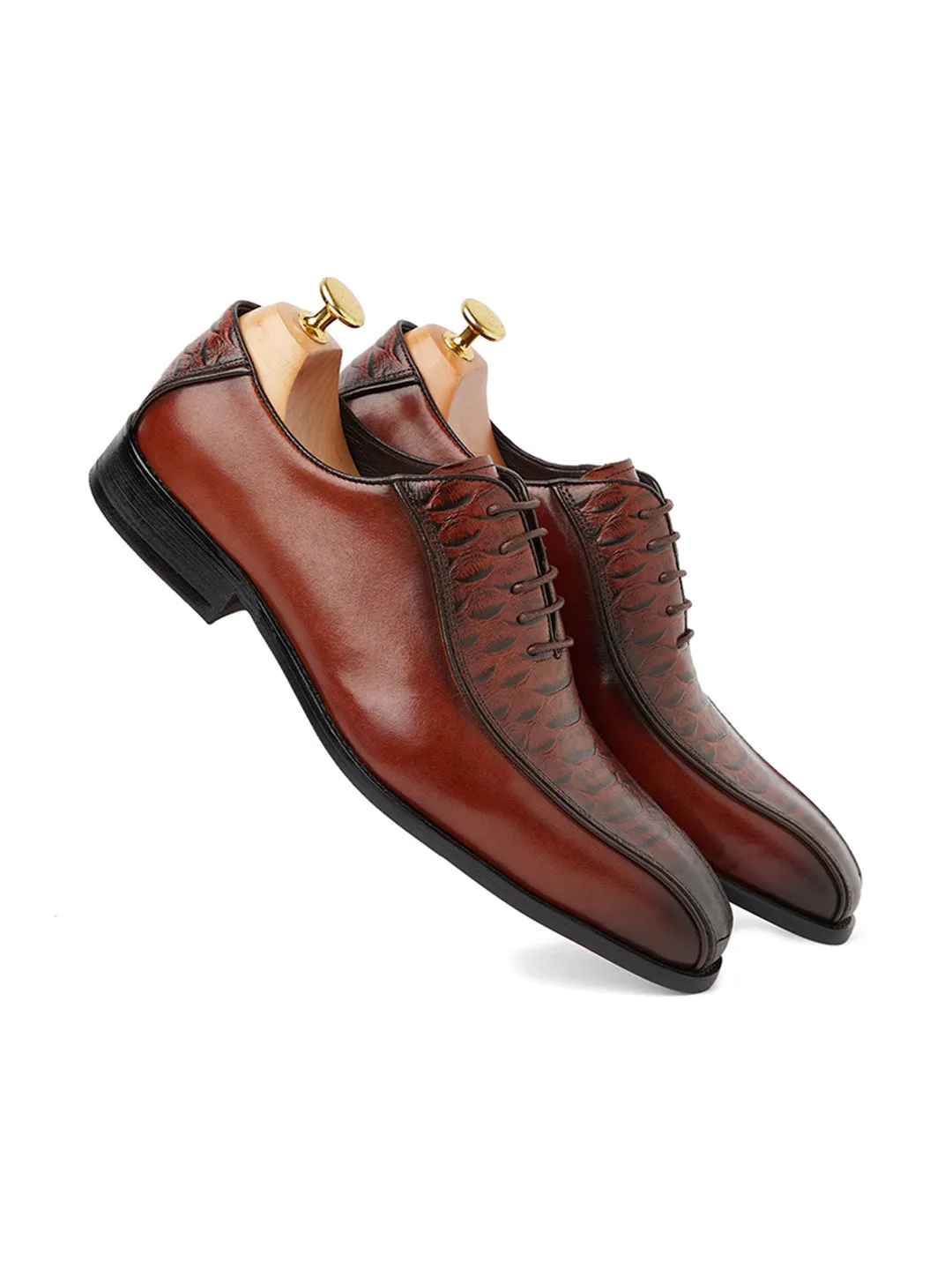 Alligator Andre Oxford - Brown