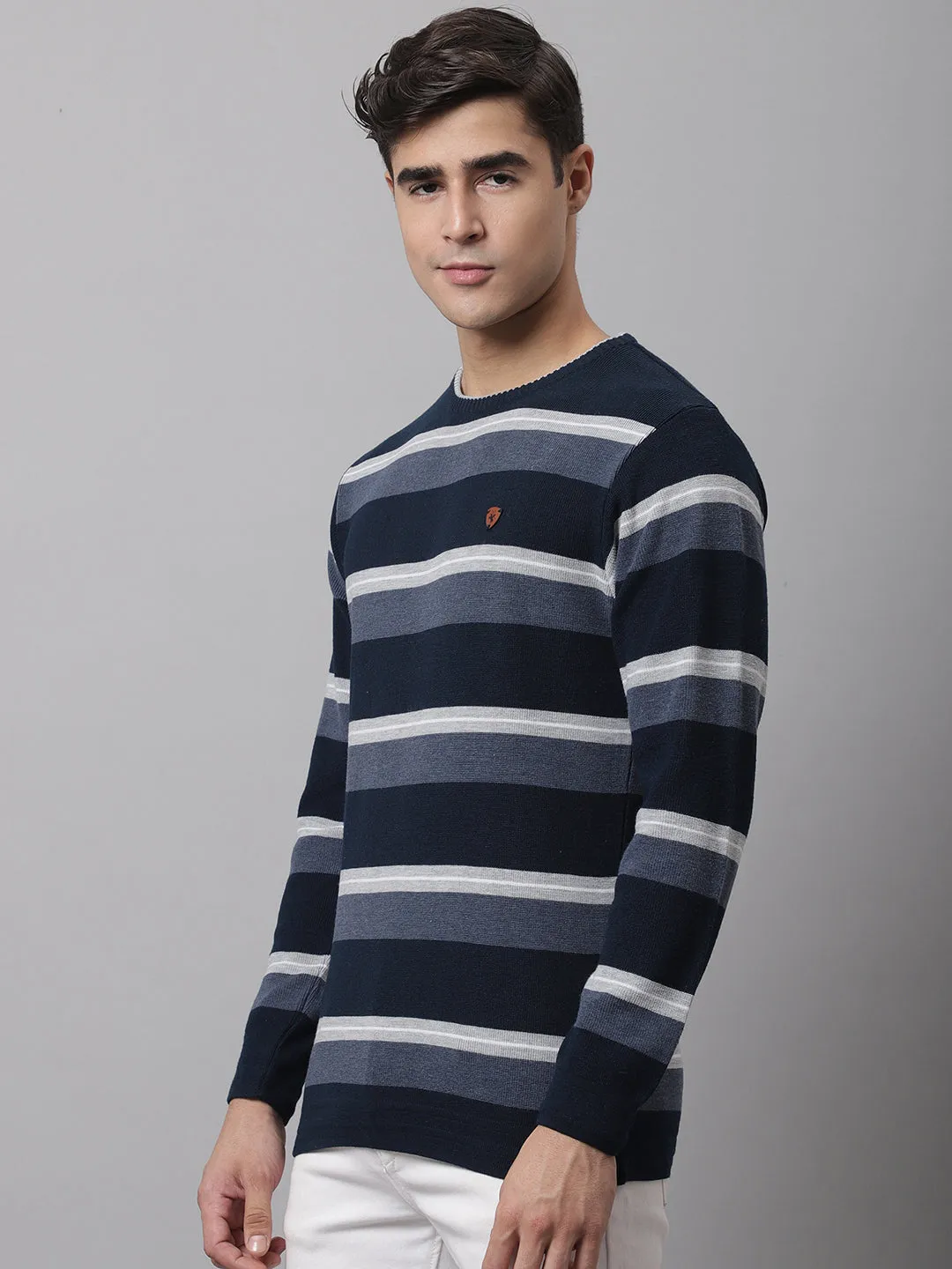 Cantabil  Men Navy Sweater